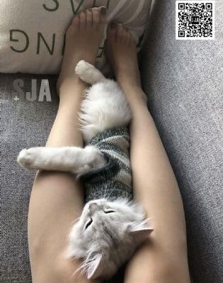 青草国产视频_高清版日韩电影在线