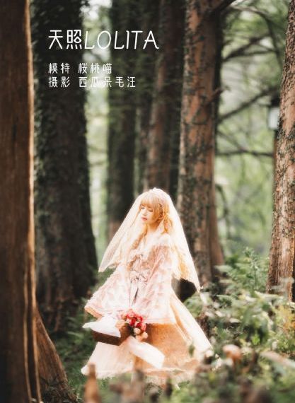 日韩欧美不卡一区二区中心_超清免费观看