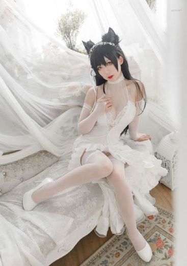 美女视频黄的全免费的网址_蓝光免费电视剧